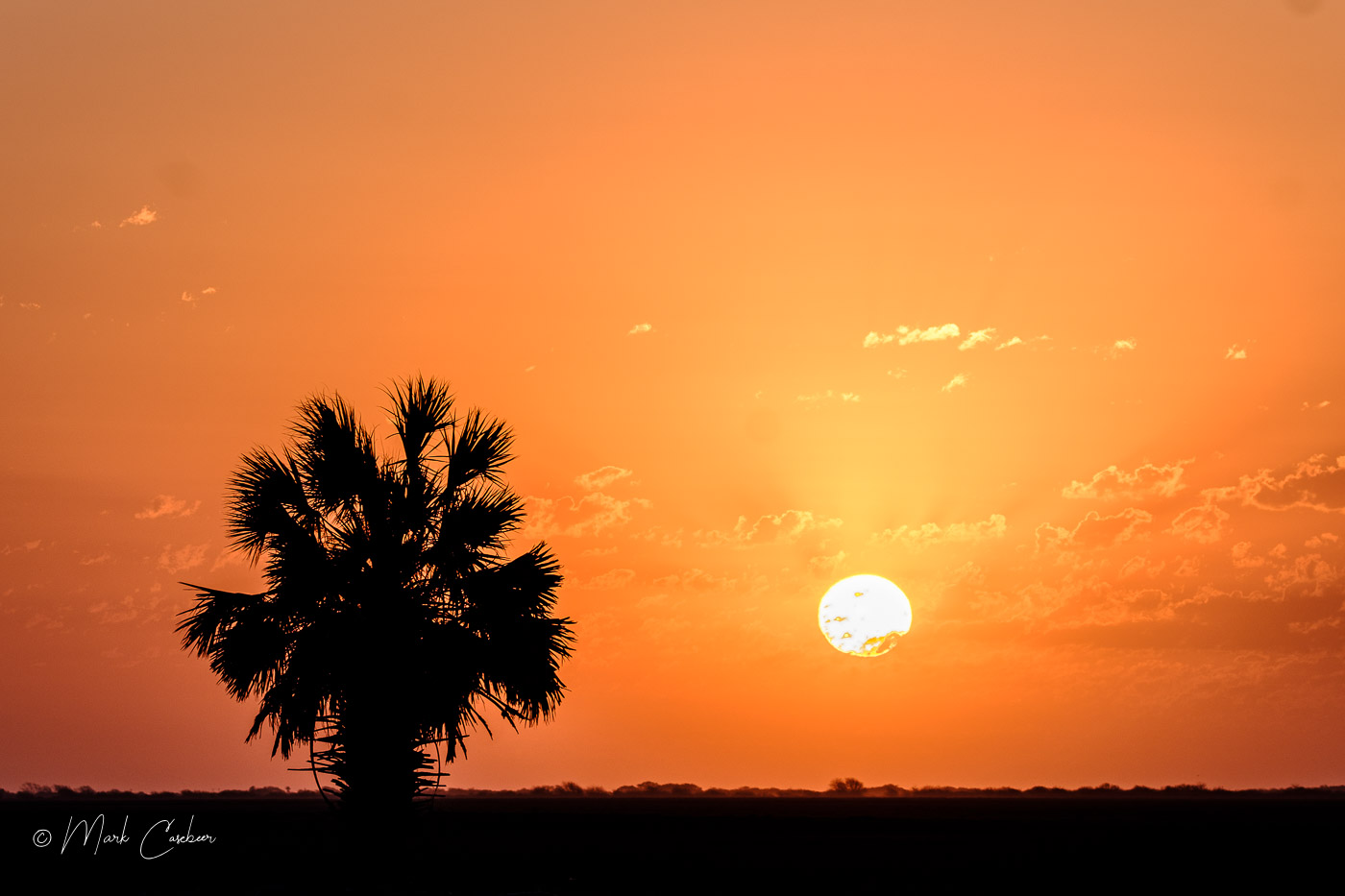 aransas-3